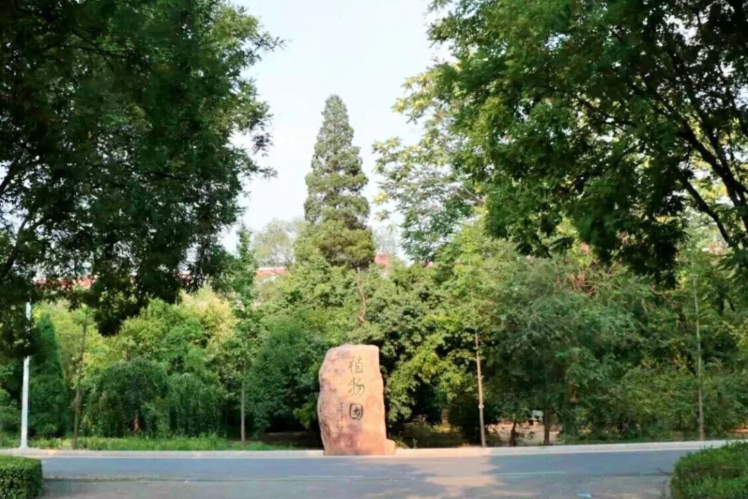 萌新攻略选修课,萌新攻略实用