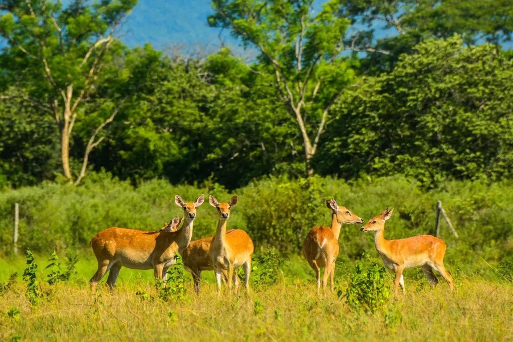 濡傛灉浣犳病鏉ヨ繃娓呮锭,濡傛灉浣犳病鏉ヨ繃绋诲煄