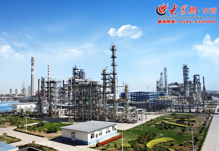 孙学义战斗英雄,孙学义坚守与传承剪纸