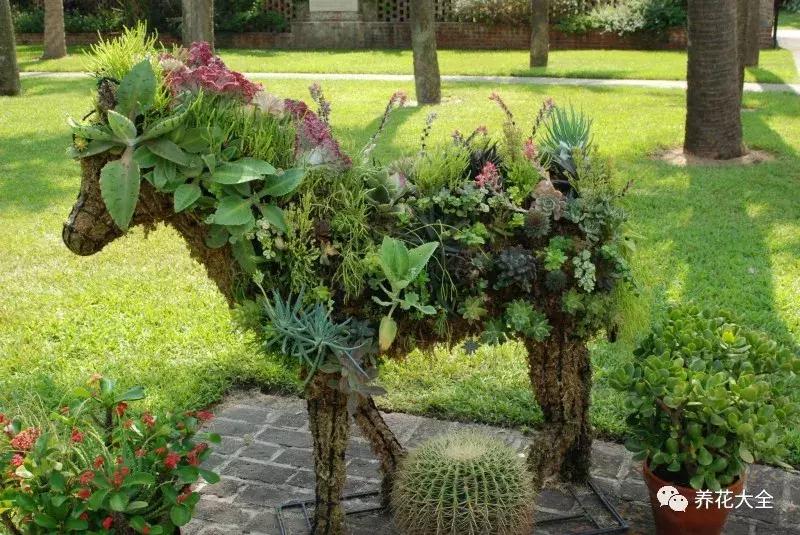 老外私家花园景观,国外多肉花园