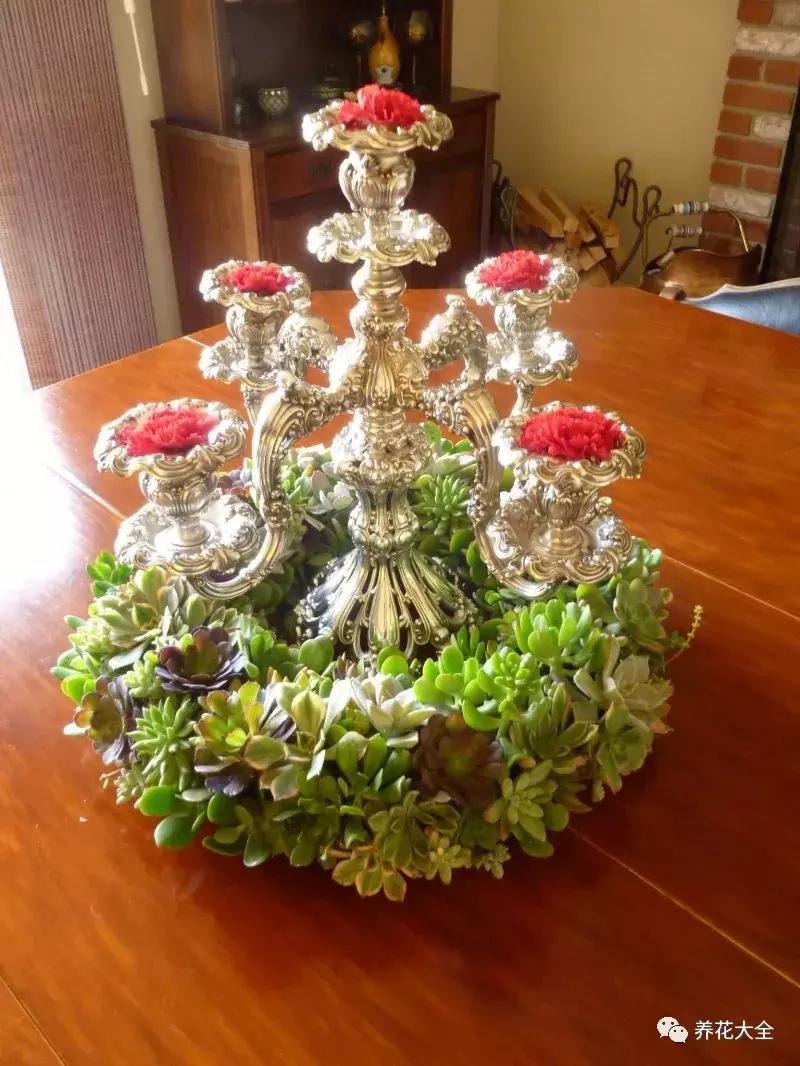 老外私家花园景观,国外多肉花园