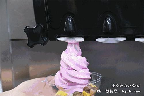 可爱的小奶狗吃冰激凌,小奶狗吃各种各样的冰淇淋