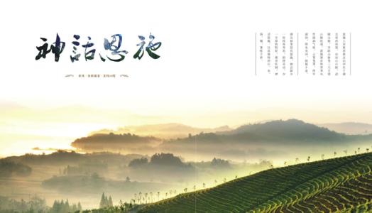 哪种食物是天然抗生素,天然并且安全的抗生素