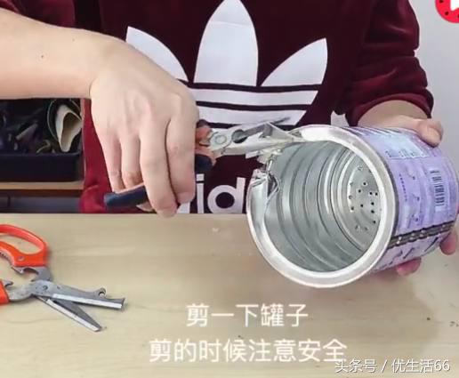 剩下的奶粉罐可以用来养什么东西,家里废弃奶粉罐如何重新利用