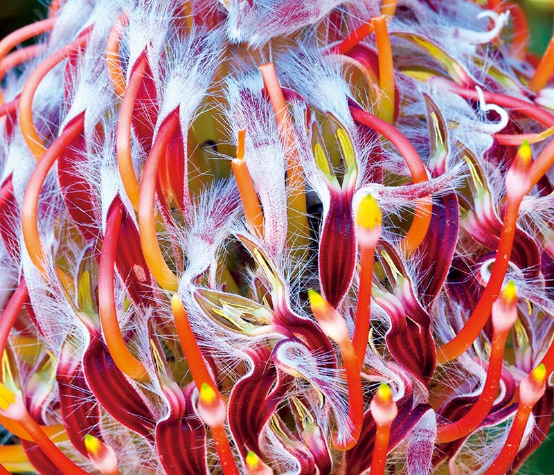 镜头功能介绍大全,怎么发挥手机镜头最大作用