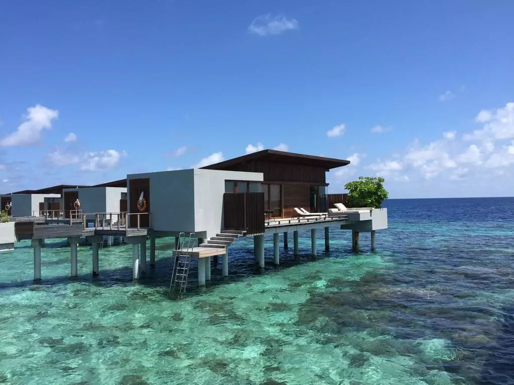 马尔代夫柏悦浮潜,马尔代夫柏悦星空