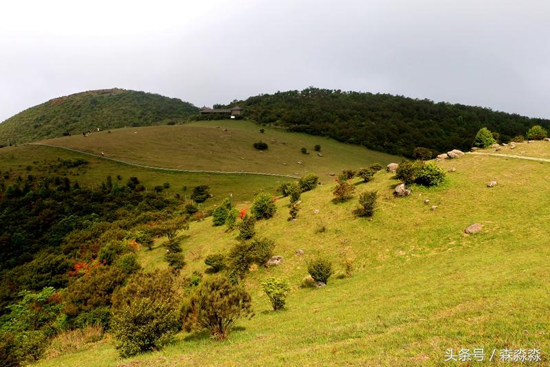 火山爆发后形成的著名景点,火山喷发会形成哪些景点