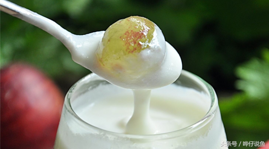 养什么宠物鱼不死鱼,养不死鱼的方法