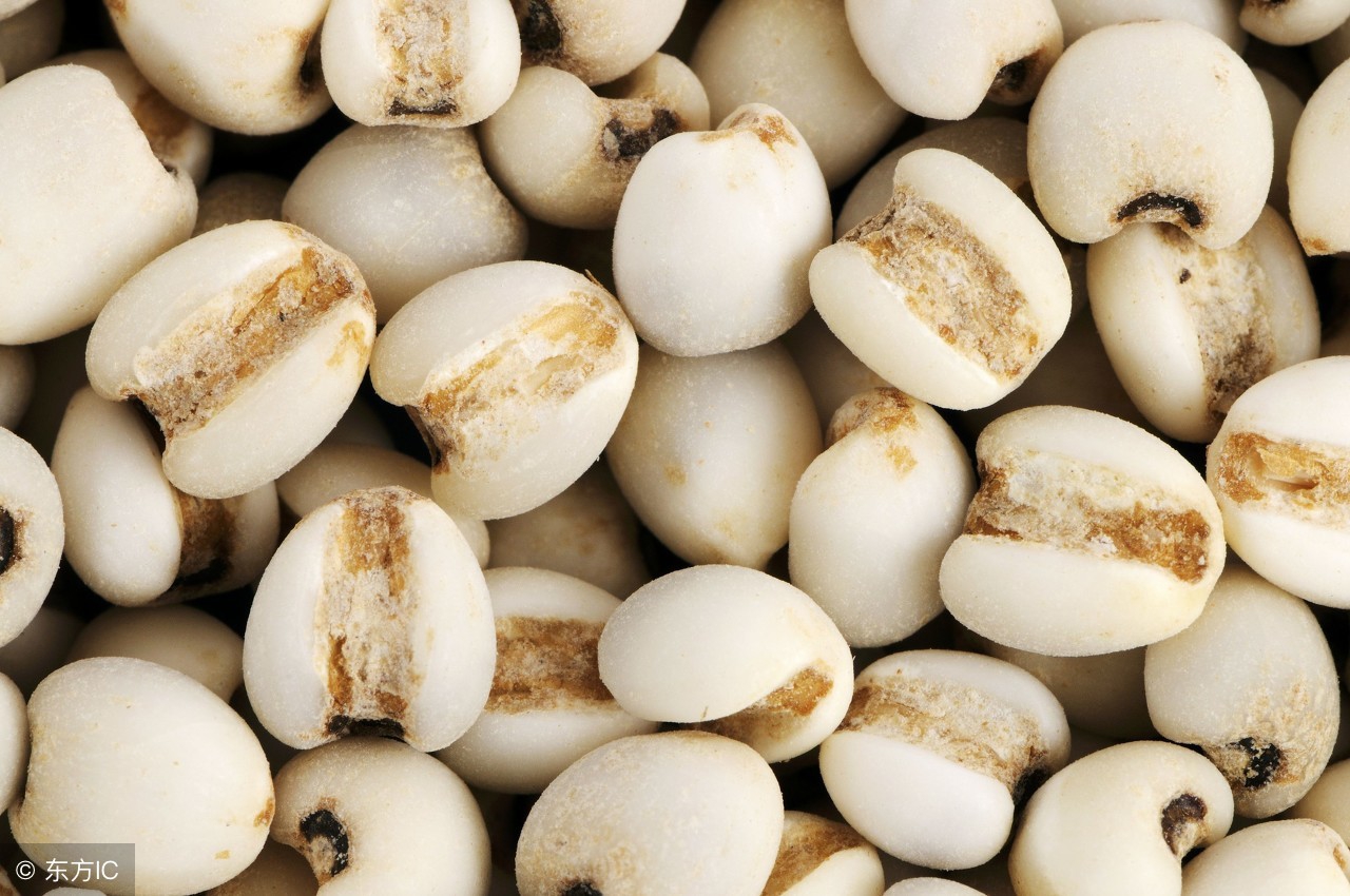 小满节气后吃什么最好,小满过后喝什么茶祛湿效果好