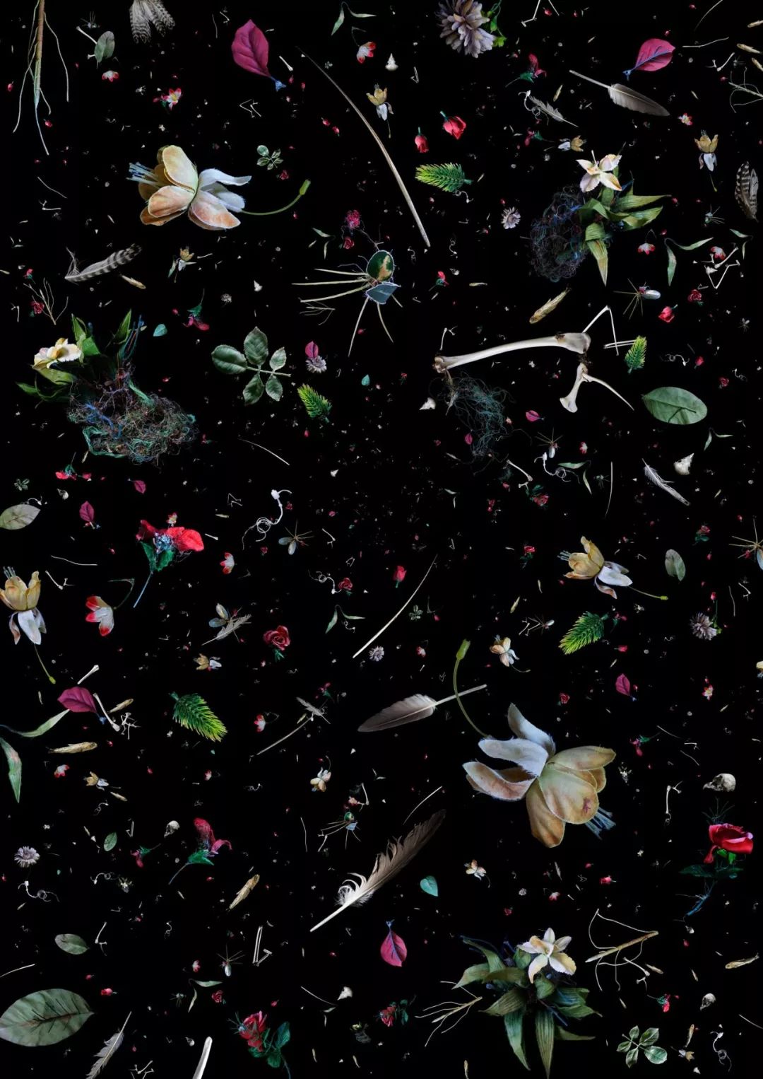 要地球，还是塑料？｜Zoom