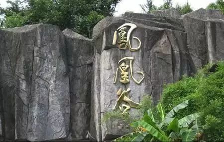 南宁烧烤去哪里好玩,2021年南宁市适合烧烤的地方