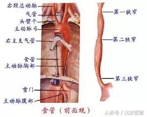 注意！食道裂开7厘米导致大出血这个吃饭的坏习惯你有吗？
