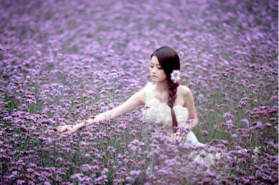 中国薰衣草庄园怎么样,薰衣草庄园到底怎么样