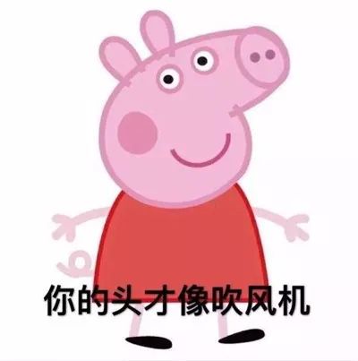 戴森的吹风机为什么很贵 (戴森的吹风机为什么那么贵)