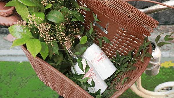 用数据洞察企业,如何用数据分析行业前景