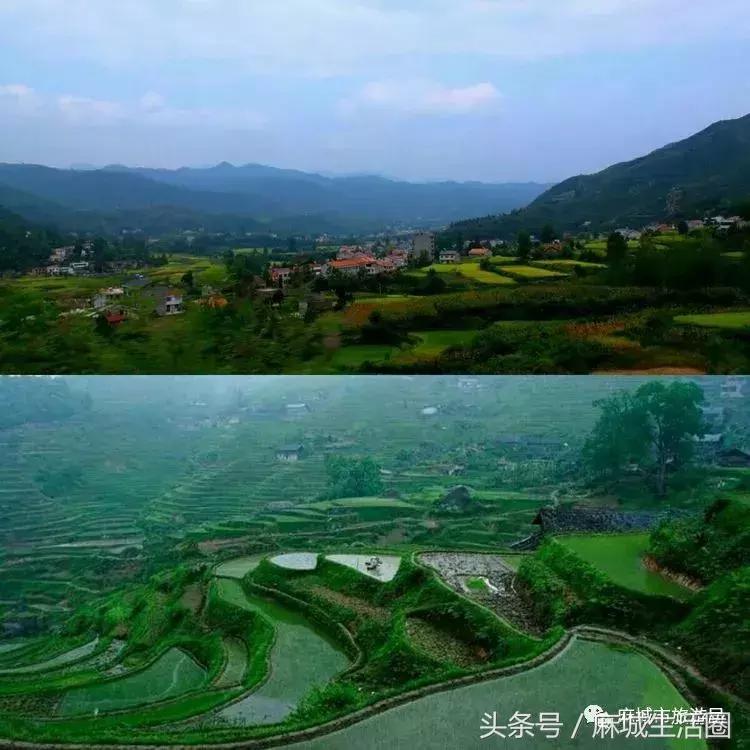 奇闻!文艺大咖在麻城找到梦里桃源,小山坳变艺术村