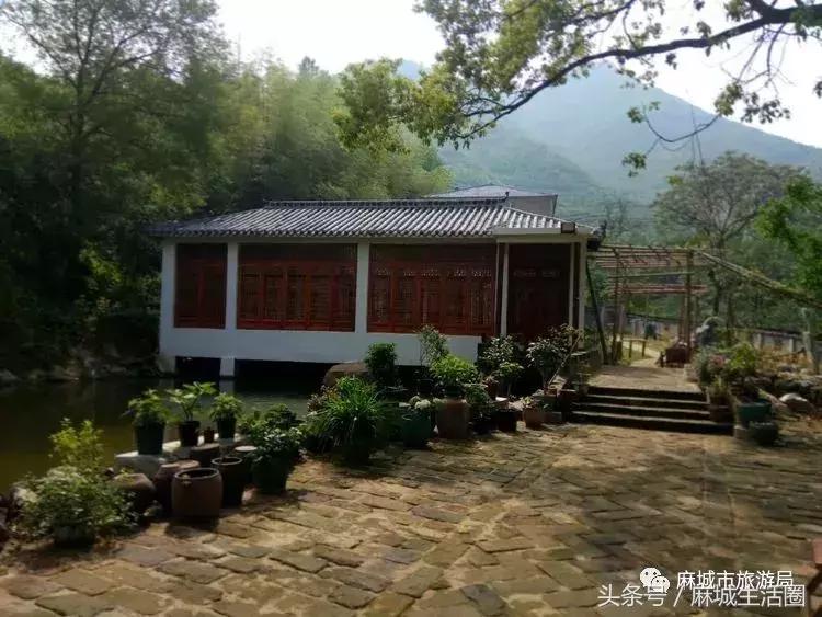 奇闻!文艺大咖在麻城找到梦里桃源,小山坳变艺术村