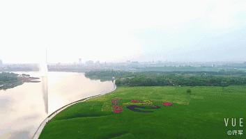 浙江省衢州市养生补贴,衢州旅游景点对全国医护人员免费