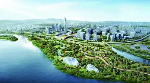 厦门红树林保护区,龙池红树林公园