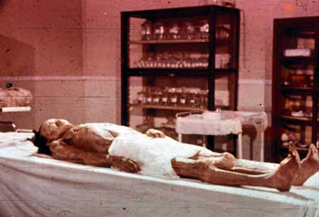 马王堆千年女尸考古挖掘,马王堆千年女尸复原图