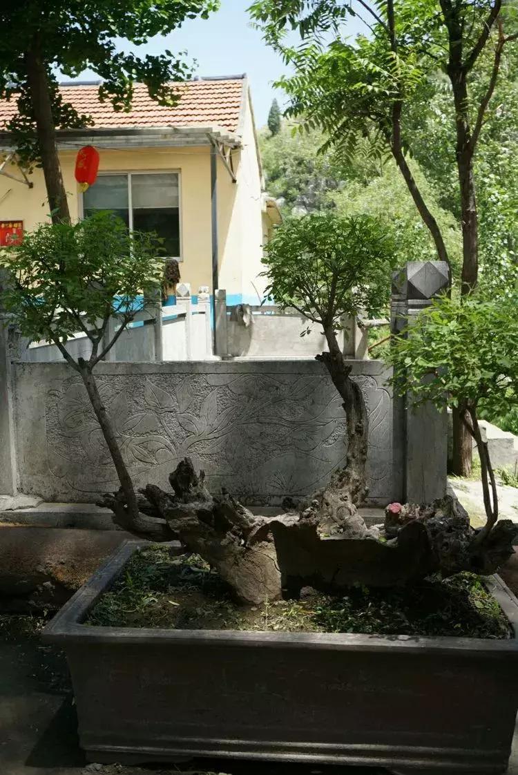 淄博淄川天晴湾户外唱歌,淄川龙泉天晴湾风景区