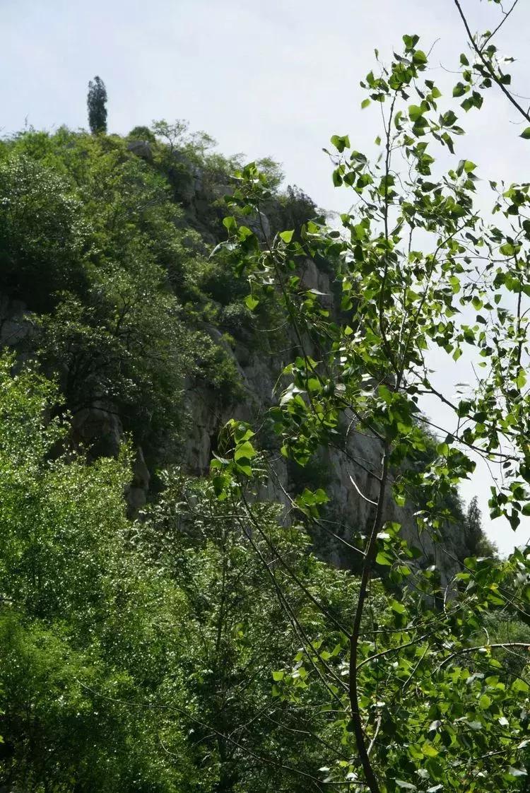 淄博淄川天晴湾户外唱歌,淄川龙泉天晴湾风景区