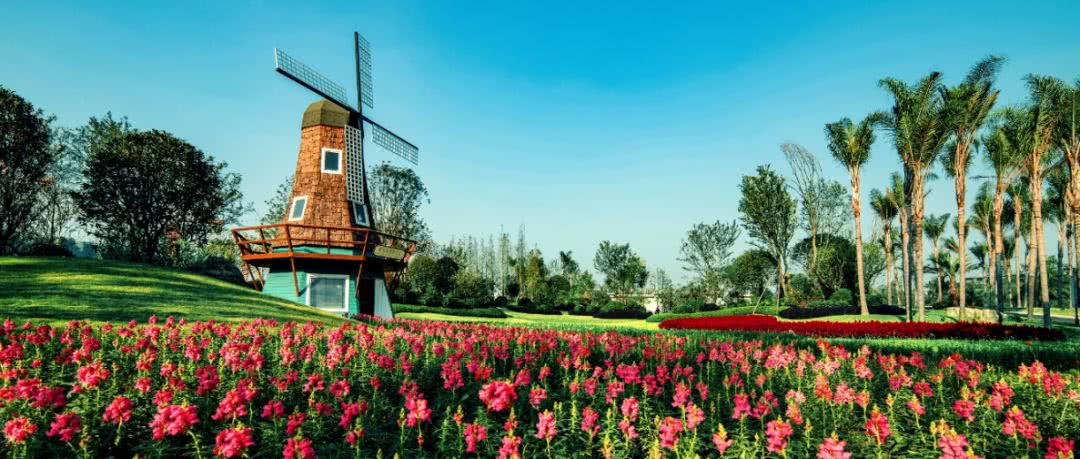 成都人临湖居住“执念”将缓解江安湖区608套房源入市