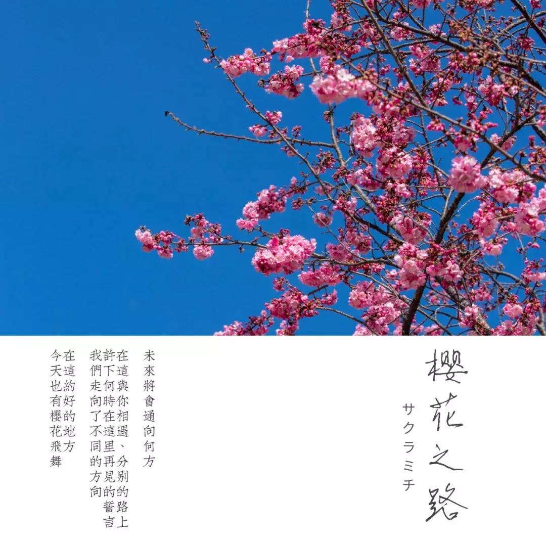 大理每个季节都很美,在大理每天都是那么的美好