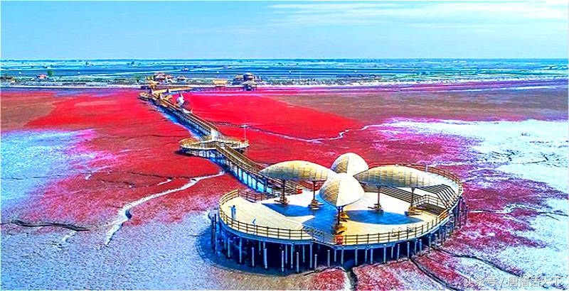 歪果仁眼中中印,歪果仁看红海行动