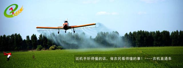 哪些植物对蚊子有驱蚊灭蚊的作用,不怕蚊子咬的植物有哪些