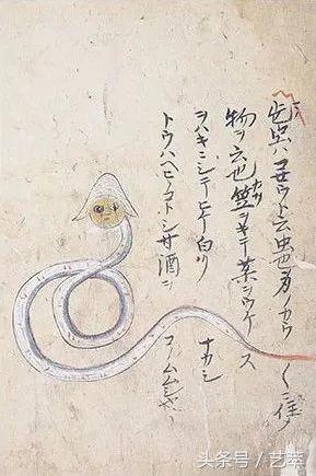 四百年前，日本人给寄生虫画了套漫画？！｜艺术画册