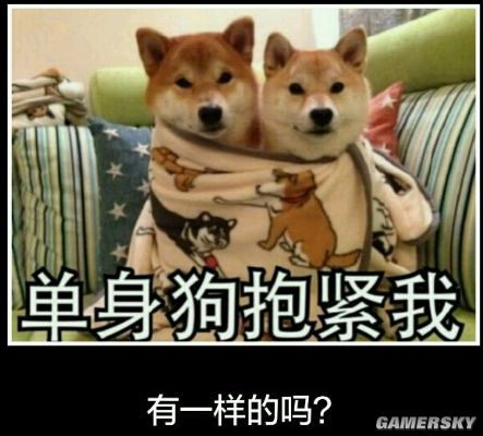 一条几百字的“百度知道”能被改编成神曲，拍成电影，做成游戏？