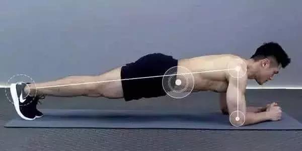 平板支撑可以锻炼哪些肌肉,平板支撑能锻炼到哪块腹肌图解
