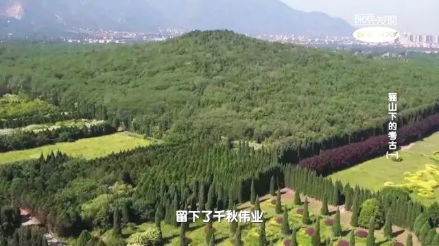 文化周报｜这周的文化资讯新鲜出炉，快来看看