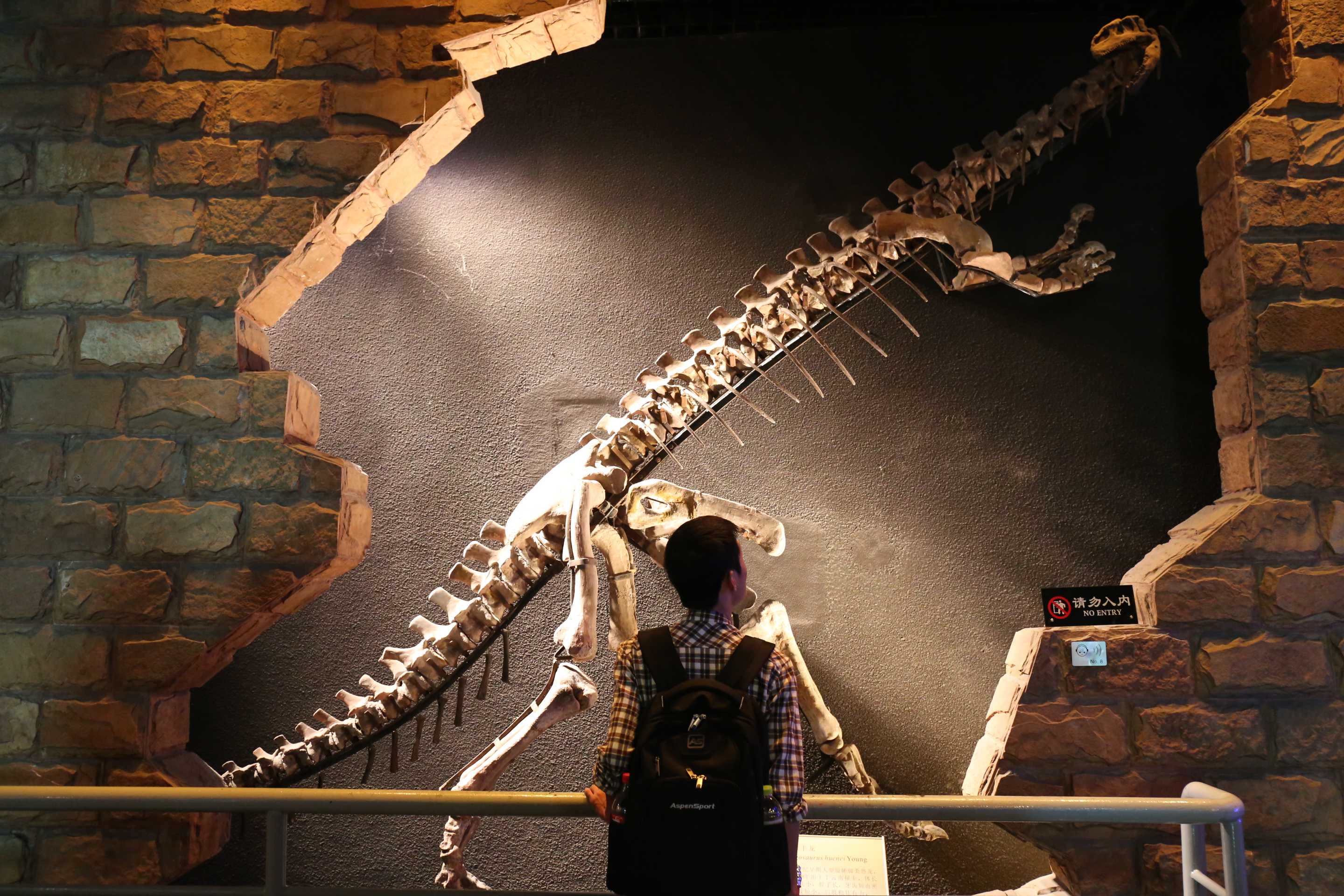 玩转恐龙园,中华恐龙园酒店套票