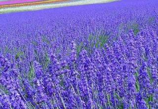 抖音痘印去除方法,抖音上说的痘印怎么去除