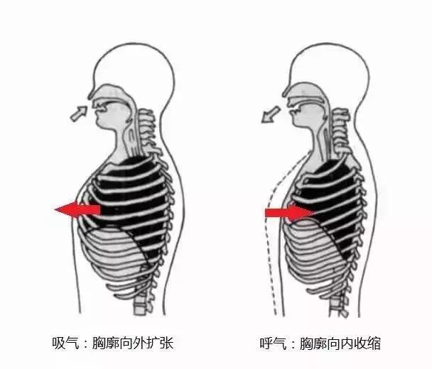 夏天喘不过气呼吸困难是怎么回事,夏天感觉呼吸不顺畅像缺氧