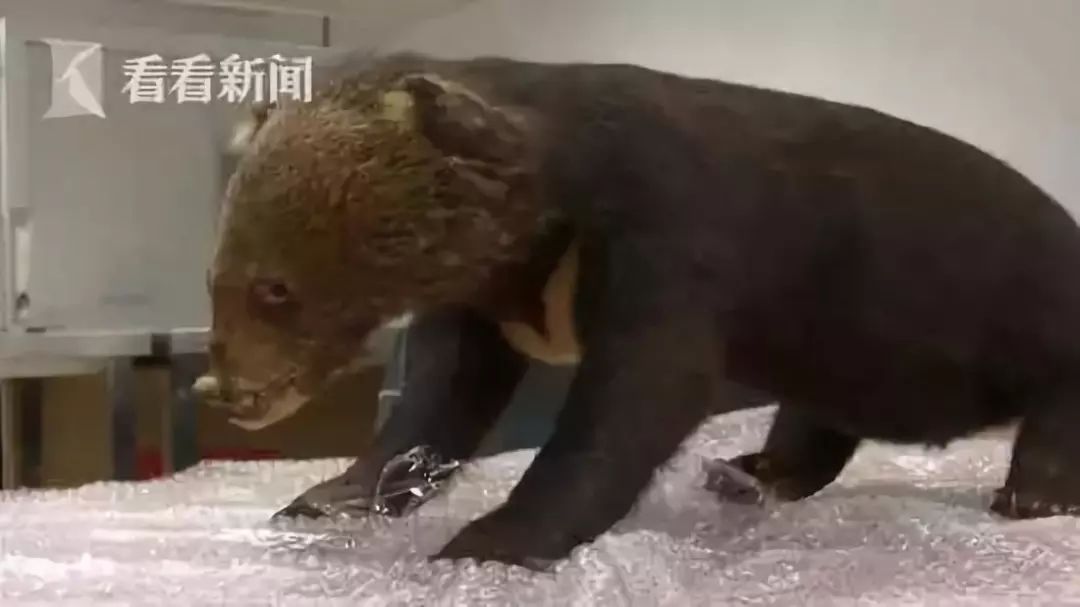 代购骗局揭秘朋友圈,朋友圈里卖低价服装的真相