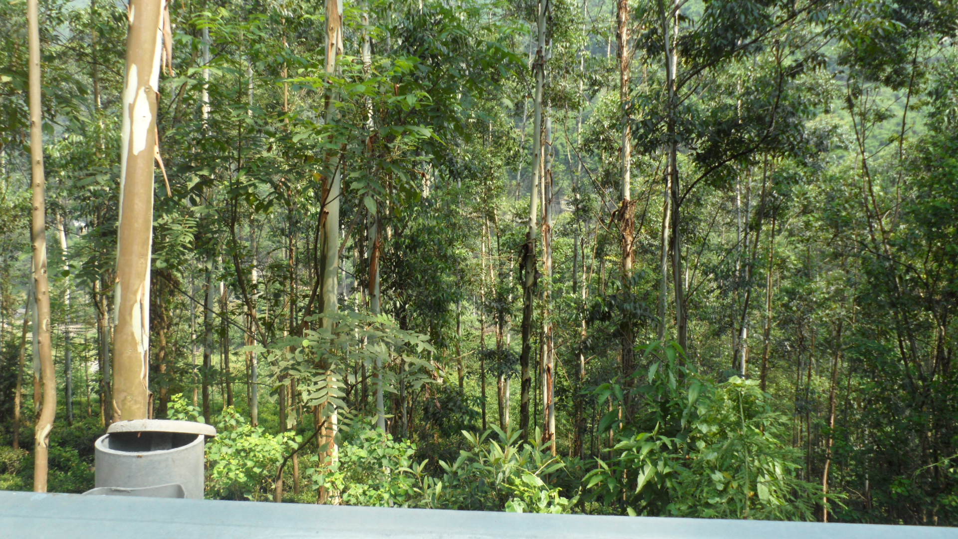 旅行日记徒步西藏,旅行十年笔记