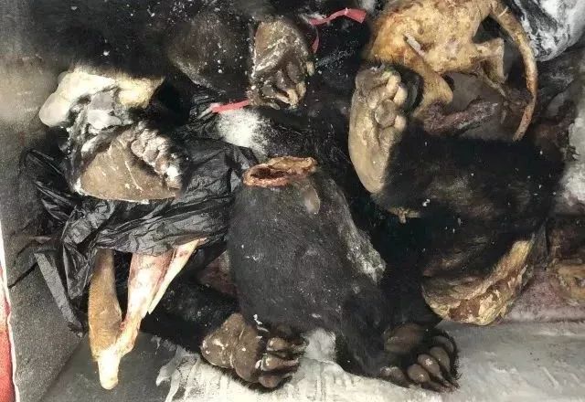 代购圈黑幕,代购十大骗局揭秘图