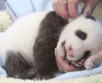 耳朵有个开关,耳朵上的抗老开关