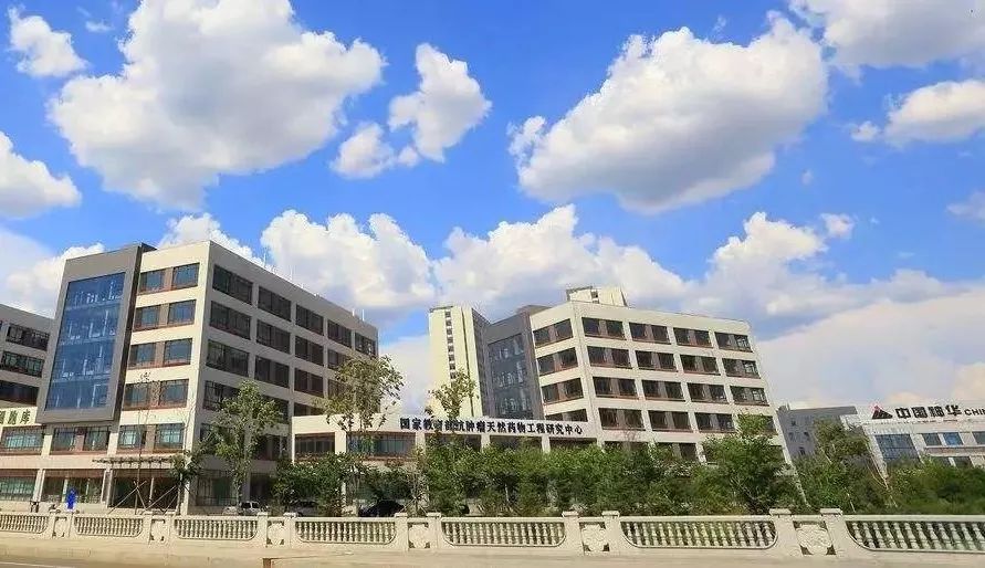 黑龙江省入围百强城市排名2020,2021年中国百强城市黑龙江