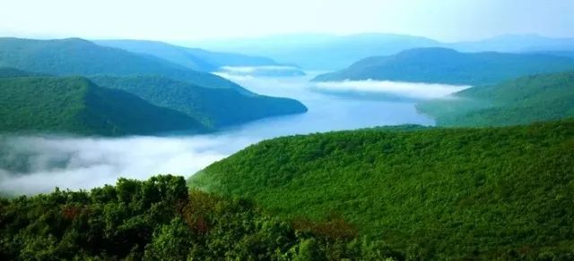 黑龙江好消息在哪里看,外交部黑龙江全球推介活动