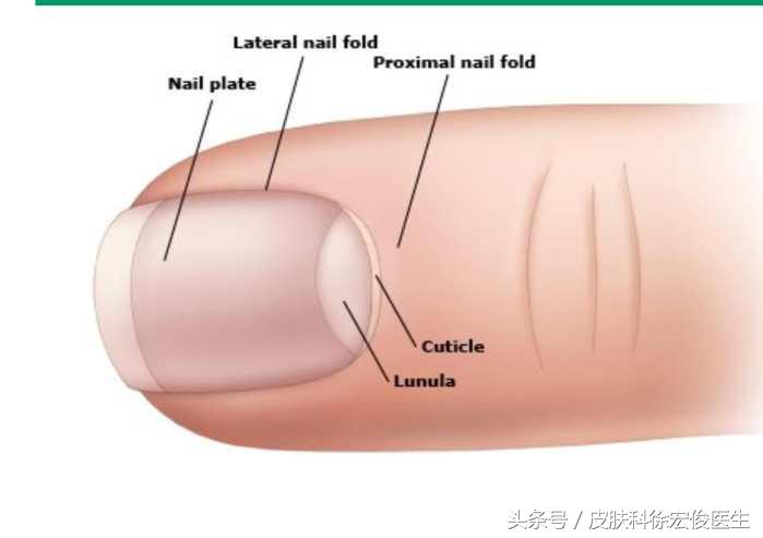 修甲店需要什么条件,给顾客修指甲要注意什么