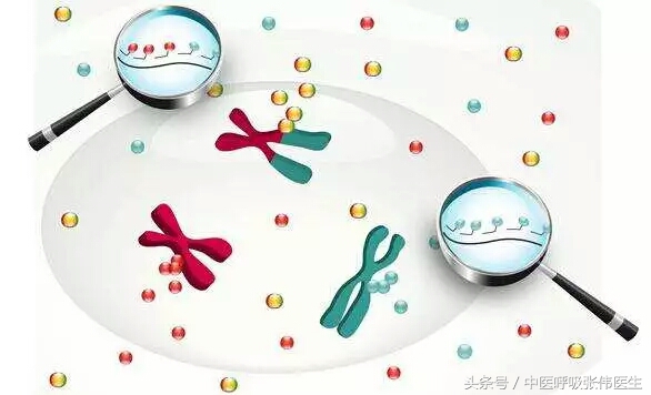 肺癌的基因检测和靶向治疗,肺癌的基因诊断及靶向治疗