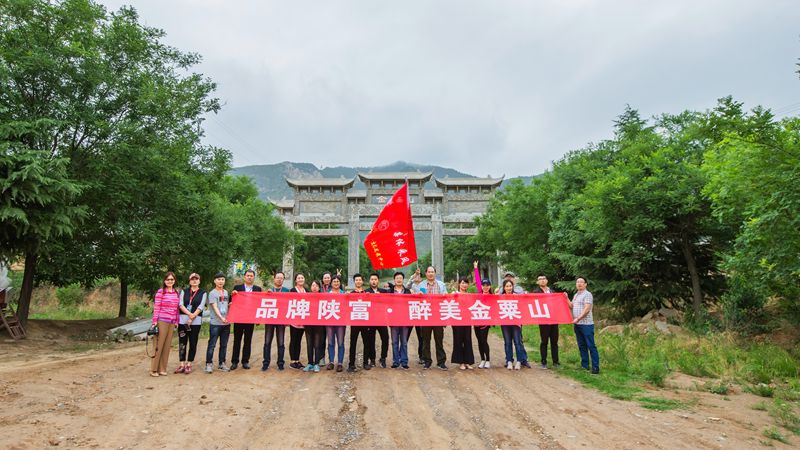 陕富麦胚面粉,陕富新疆面粉