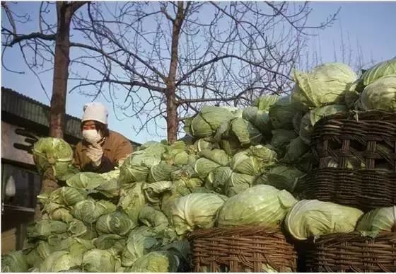 那些年在北京的生活,北京最真实的生活状态