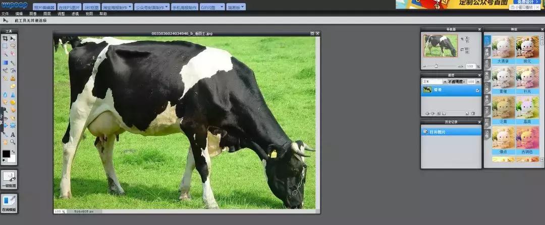 熬夜必备100个神器,认真分享几个超实用的网站