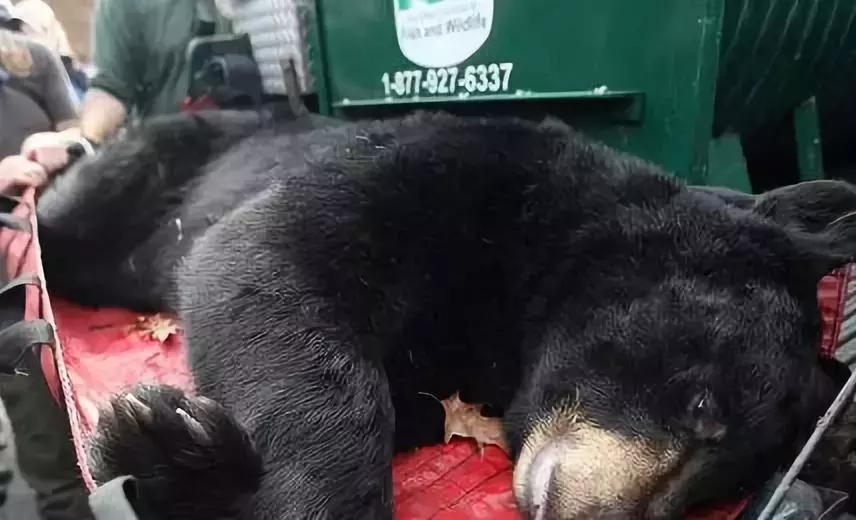 代购十大骗局揭秘图,揭露各种海外代购真相