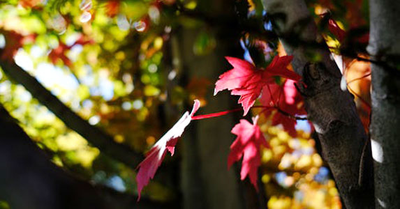 被初恋狠甩我哭进医院，醒来竹马心疼陪护：做我女朋友吧